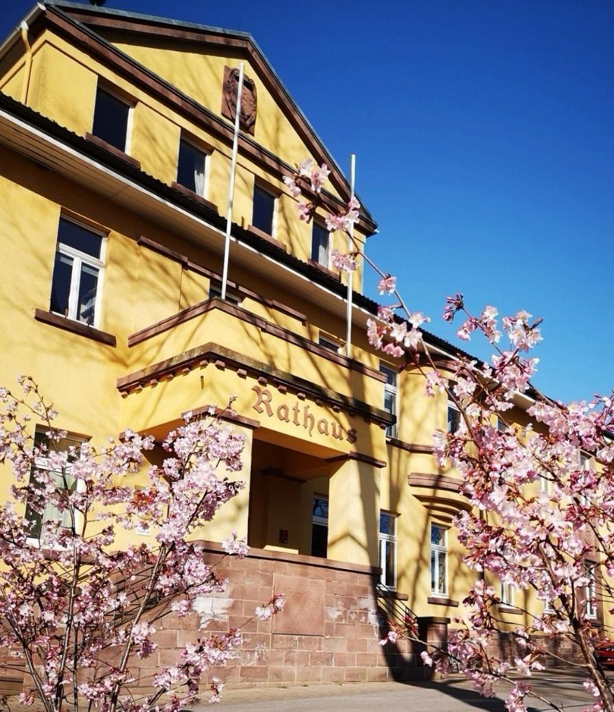 Rathaus Stadtoldendorf