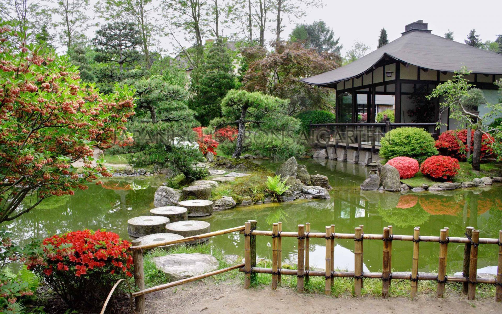 Japanischer Bonsaigarten Ferch, Foto: Japanischer Bonsaigarten Ferch, Lizenz: Japanischer Bonsaigarten Ferch