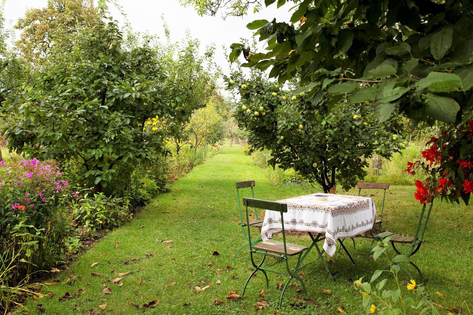 Garten in der Russischen Kolonie Alexandrowka