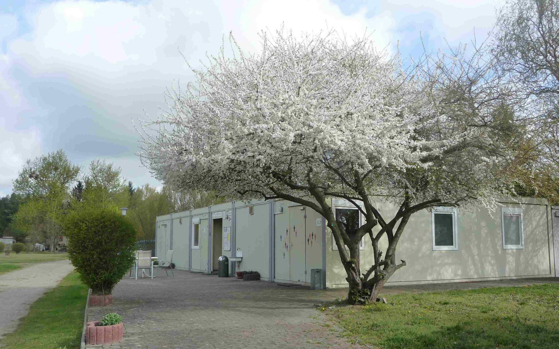 Oderbruchcamp Zechin