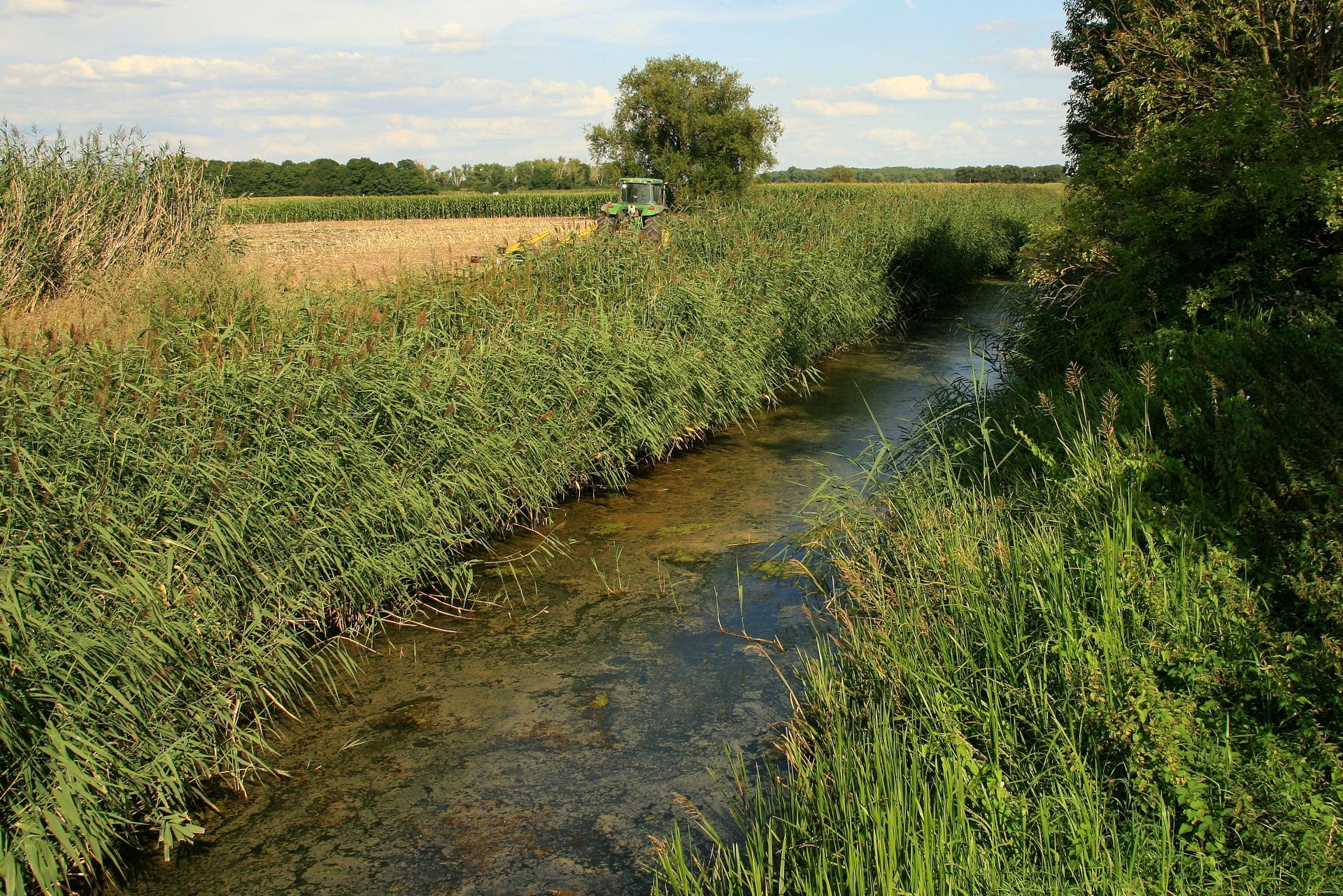 Wulfener Bruch im Osternienburger Land 
