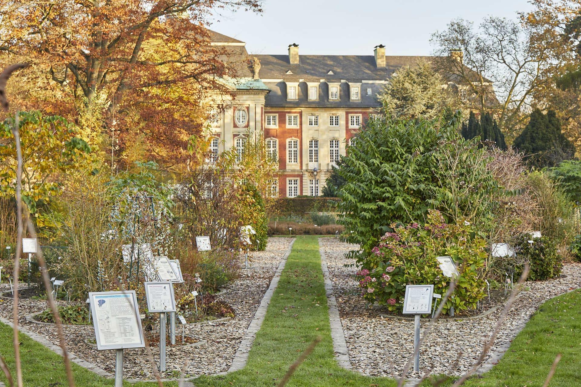 Botanischer Garten Münster im Herbst