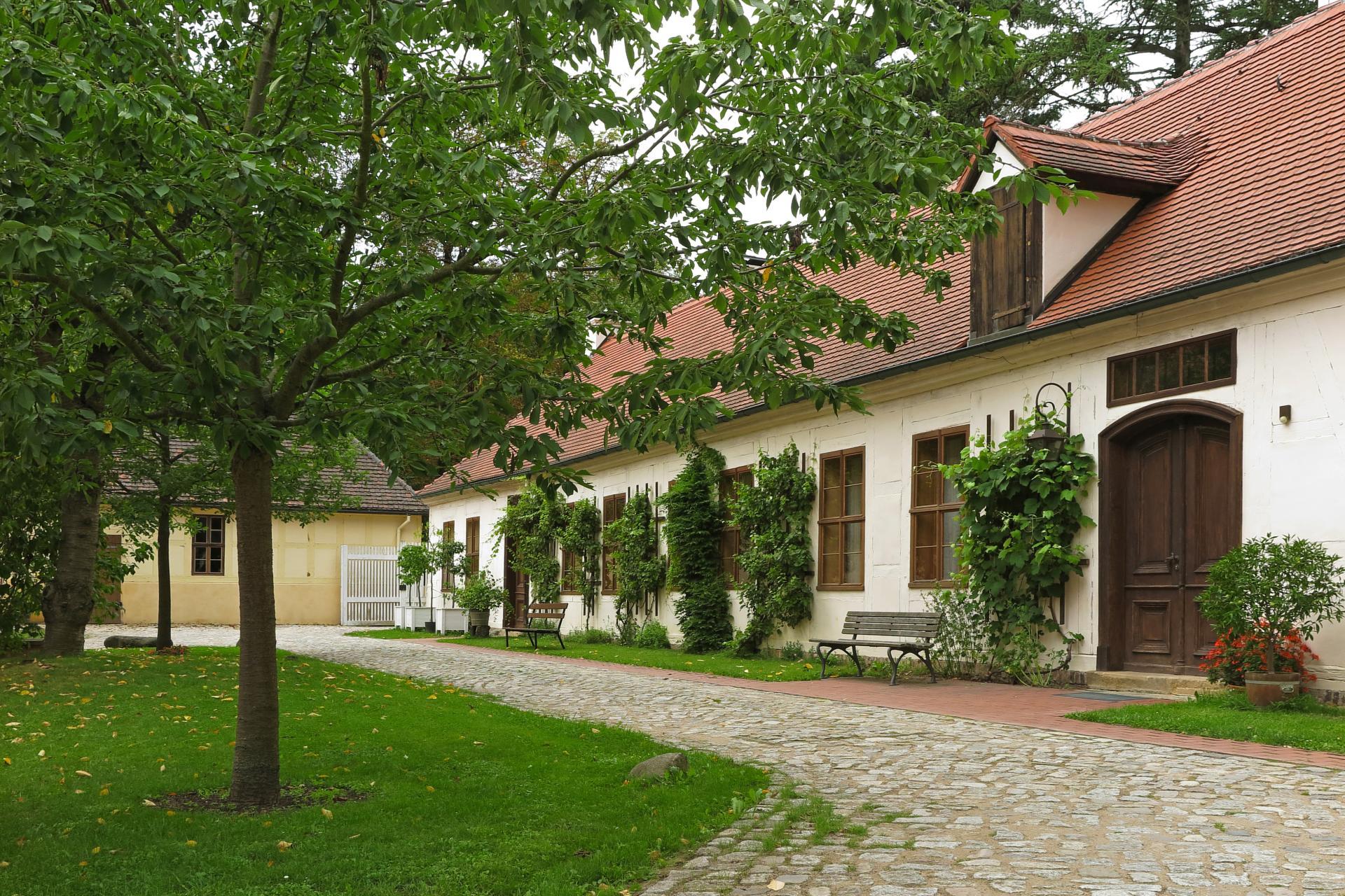 Eyserbeckhaus Louise im Luisium