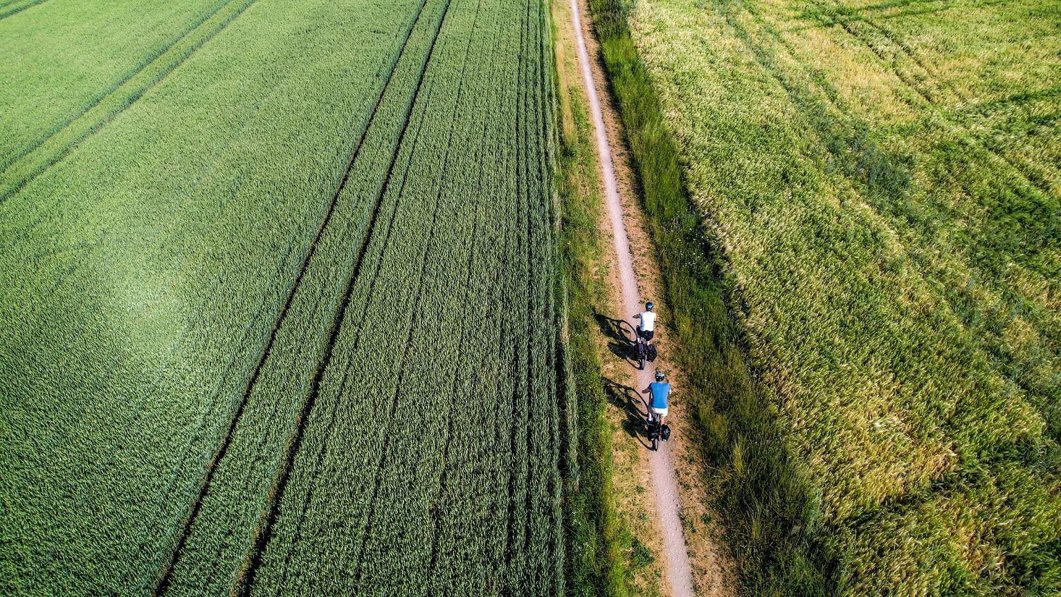 Von Harsewinkel nach Gütersloh