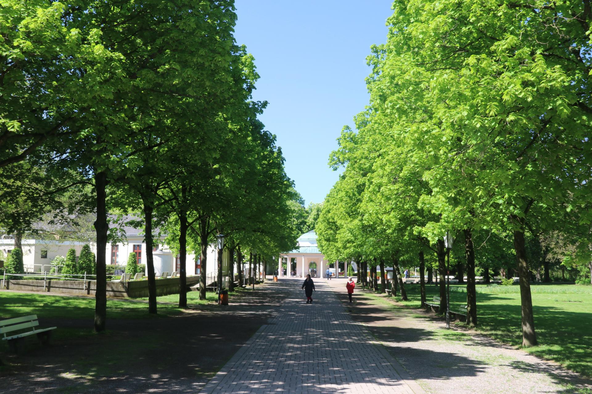 Historischer Kurpark mit Brunnentempel