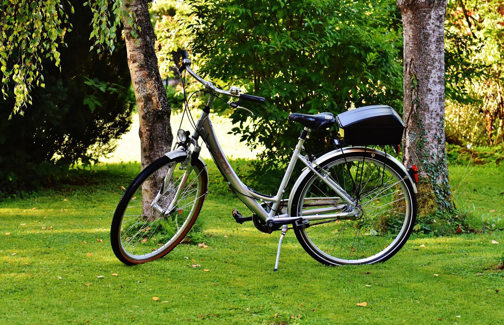 Bikes‘n More Bernburg