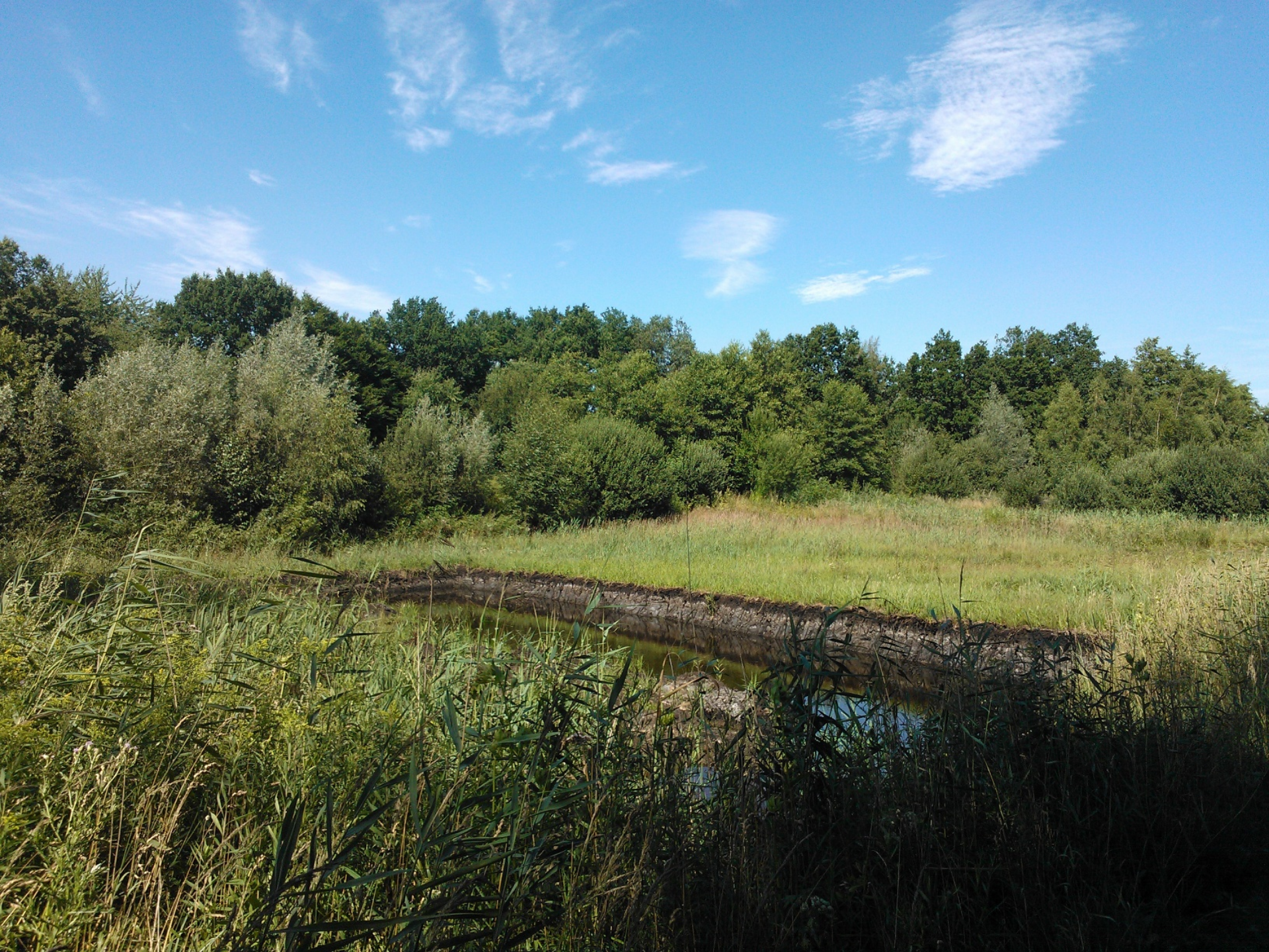 Moorteich