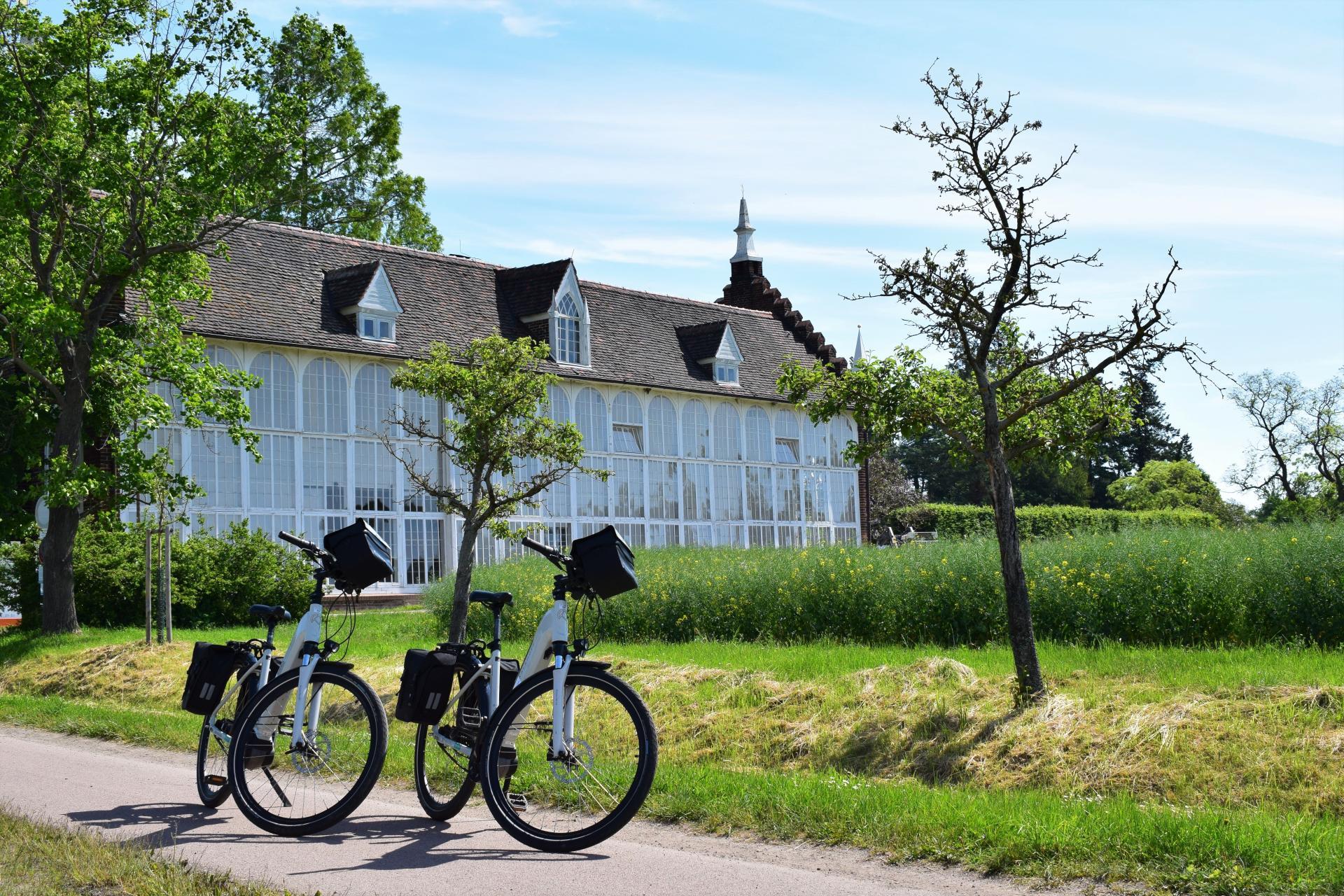 Palmenhaus Wörlitzer Park 