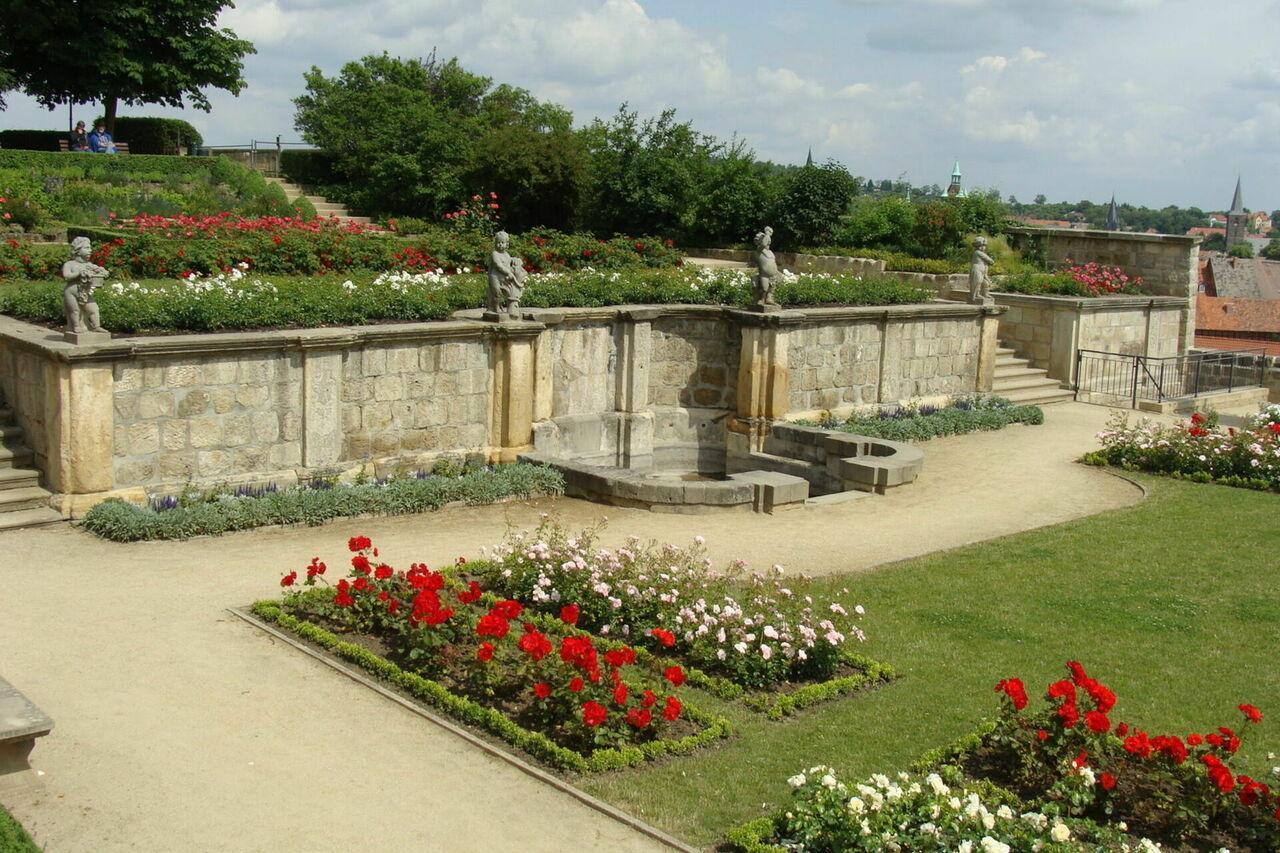Rosengarten auf dem Schlossberg Quedlinburg