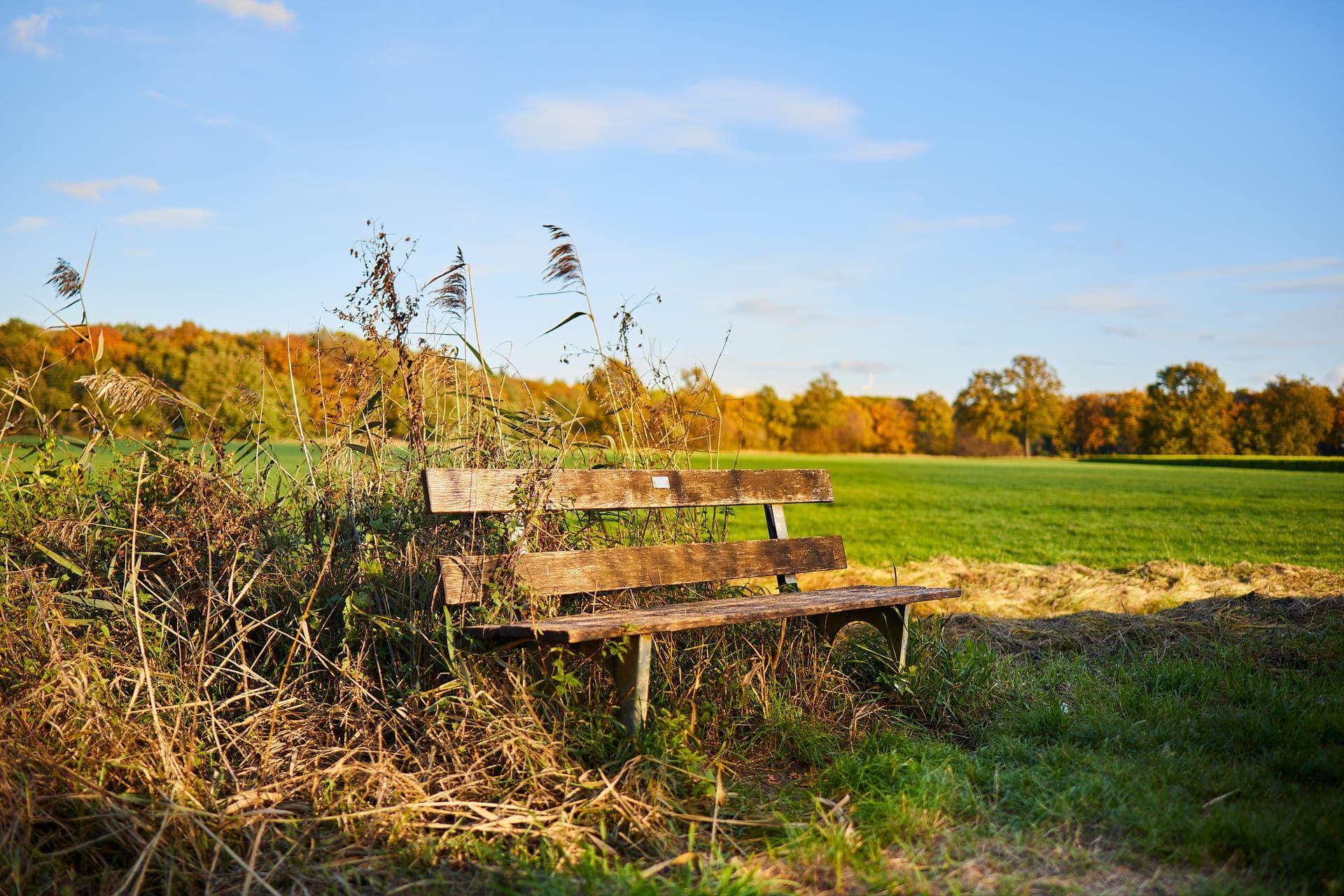 sassenberg-landschaft-urlaub