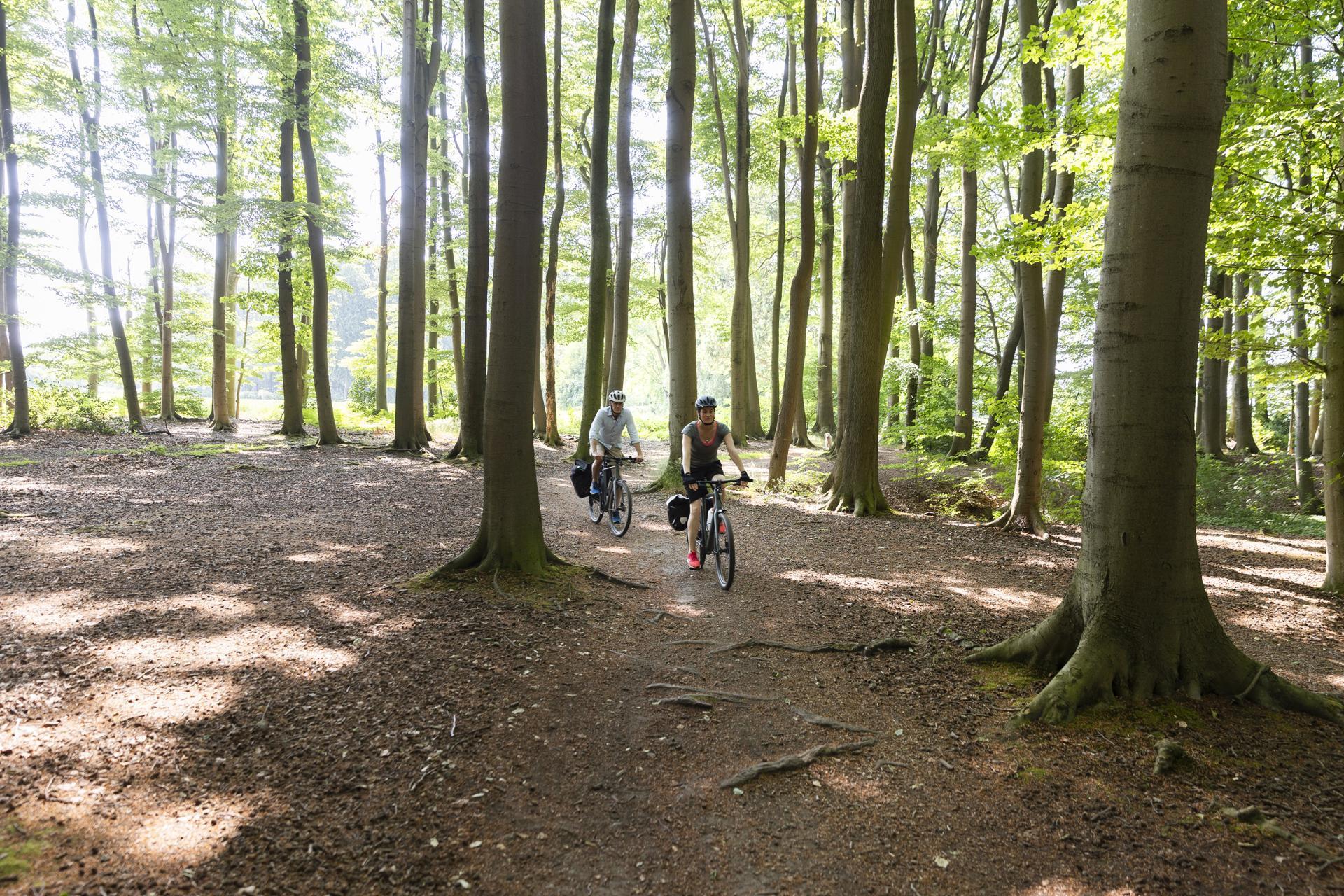 Von Steinheim nach Nieheim