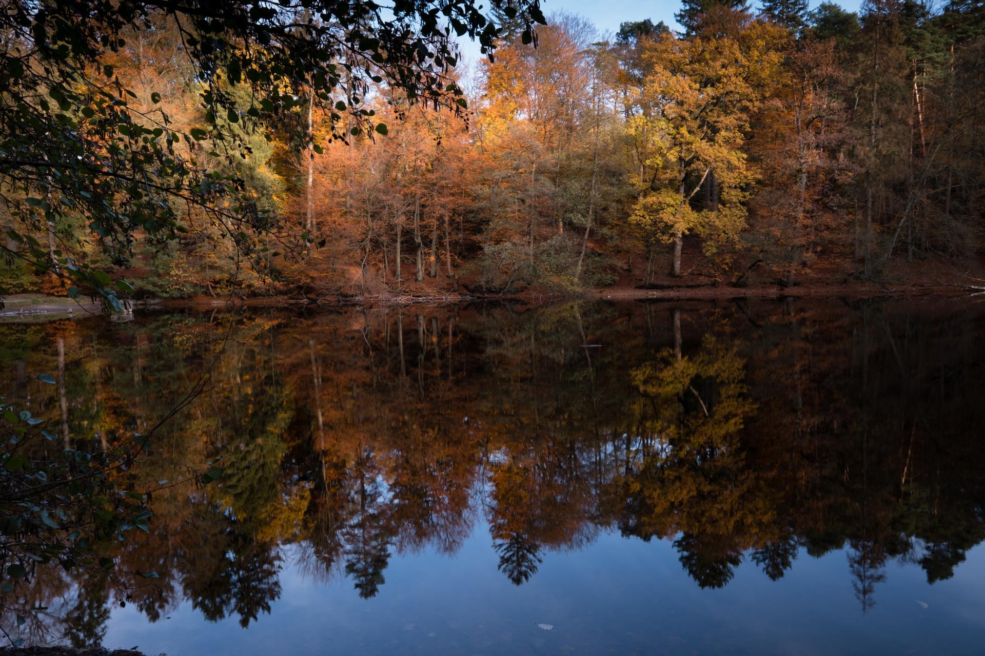 Teutoburger Wald / Detmold / Donoper Teich