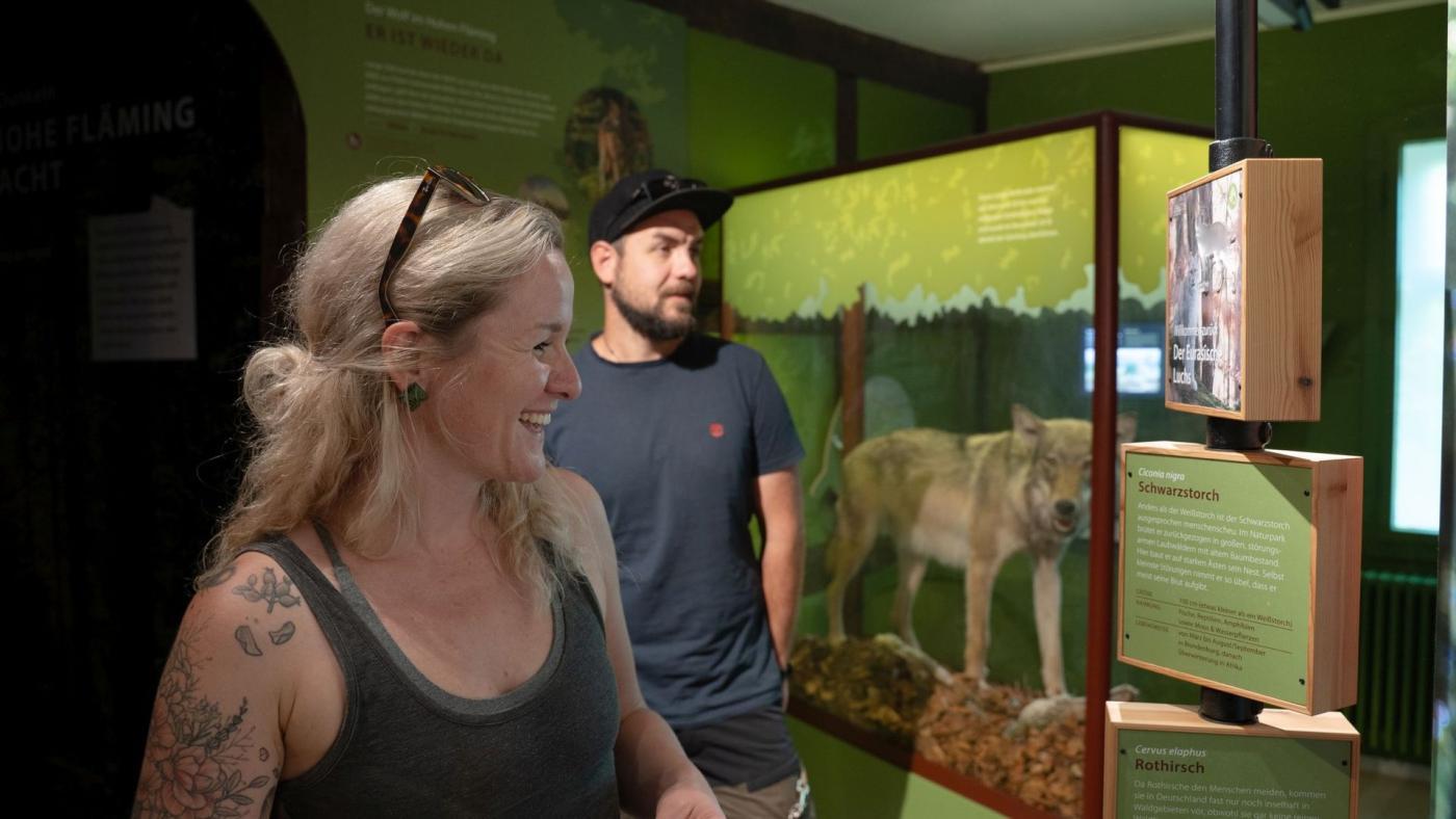 Naturparkausstellung "Ritterburgen, Rummeln, Riesensteine"