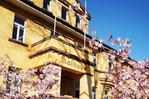 Samtgemeindeverwaltung Eschershausen-Stadtoldendorf / H. Budde Rathaus Stadtoldendorf