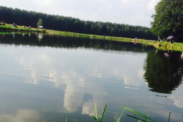 Werlsee