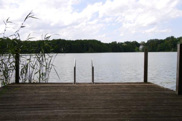 Steg am Buckowsee