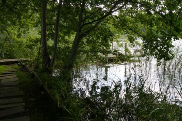 Badestelle am Buckowsee