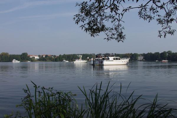 Werlsee in Grünheide (Mark), Flusslandschaft Spree