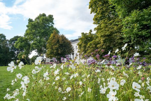 Fotokraftwerk Schloss und Park Neuhardenberg