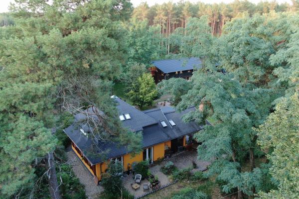 Waldparadies Borkheide