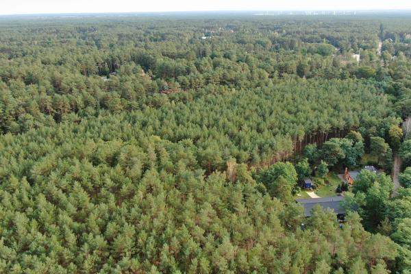 Waldparadies Borkheide