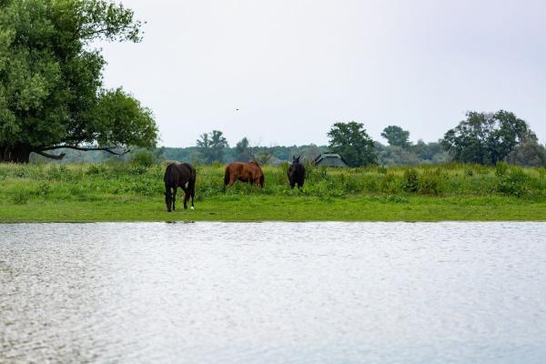 Naturerlebnishof "Uferloos" an der Oder