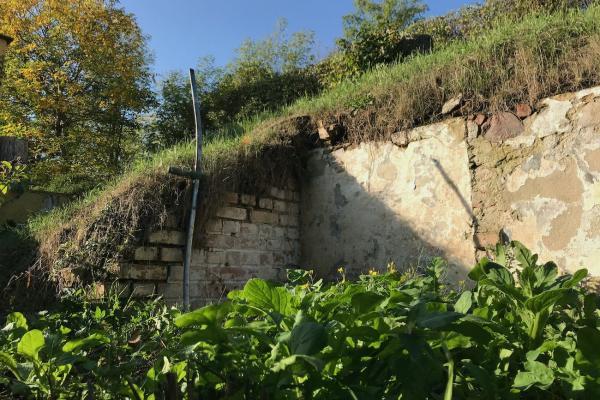 Bellevue / Kräutergarten