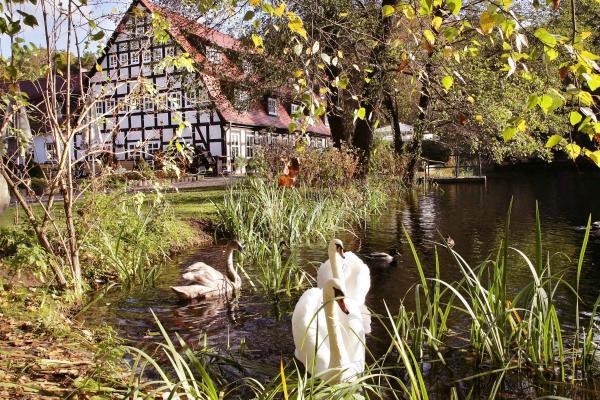 K. Wünsche, Lizenz: Springbach-Mühle Belzig OHG Hotel "Springbach-Mühle"