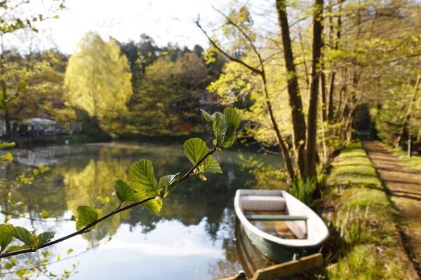 K. Wünsche, Lizenz: Springbach-Mühle Belzig OHG Teiche und Weiher an der Springbach-Mühle