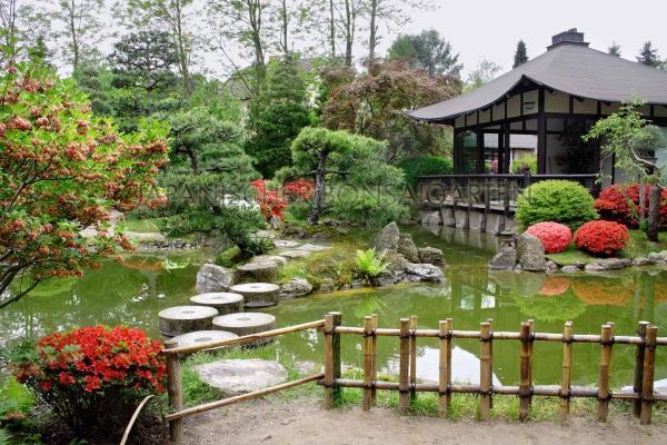 Japanischer Bonsaigarten Ferch, Lizenz: Japanischer Bonsaigarten Ferch Japanischer Bonsaigarten Ferch