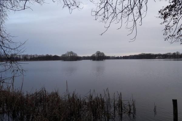 Haussee