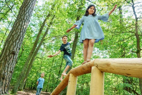 Pressefoto, Lizenz: Der Barfußpark Beelitz-Heilstätten Balance-Stamm