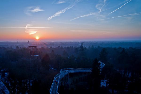 Baum&Zeit Baumkronenpfad - Sonnenuntergang, Foto: Baumkronenpfad Beelitz-Heilstätten