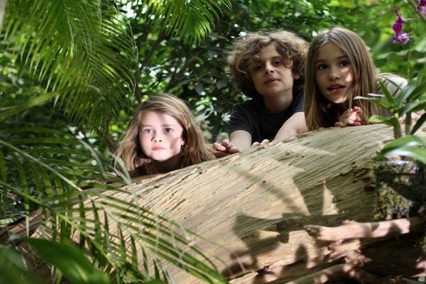 Niños descubriendo la selva de la Biosfera de Potsdam, imagen: Agentur Kraftstoff