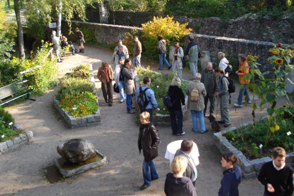 Archiv Kultur- und Tourismusamt Märkische Schweiz Kräutergarten hinter der Tourist-Info Buckow