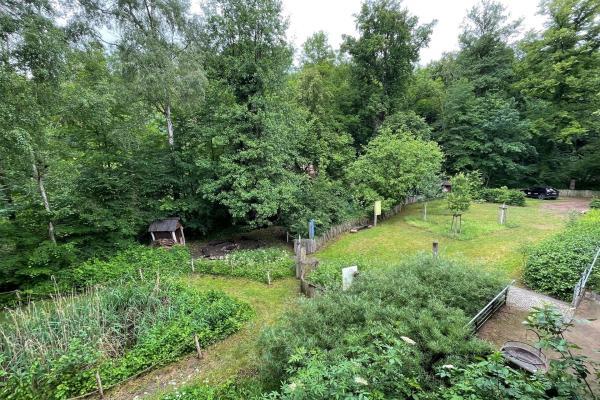 Archiv Naturpark Garten