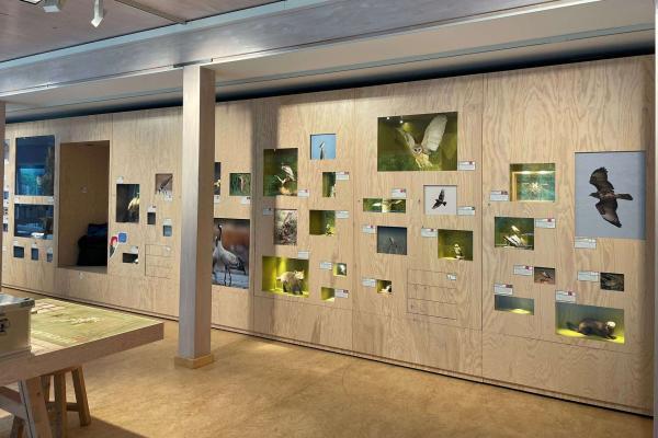 Archiv Naturpark Wand der Artenvielfalt im Besucherzentrum "Schweizer Haus" in der Märkischen Schweiz