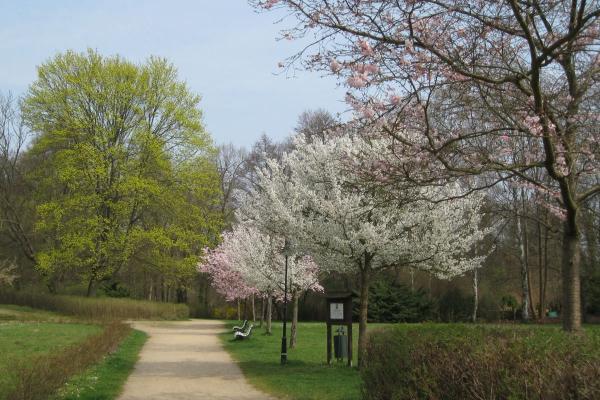 Archiv Kultur- und Tourismusamt Märkische Schweiz Schlosspark Buckow