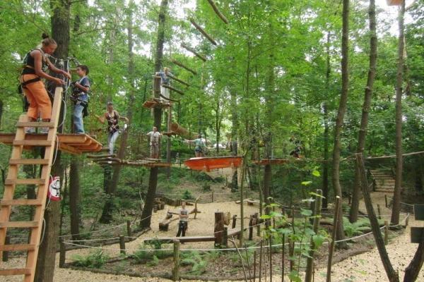 Dirk Hertam Kletterwald Grünheide