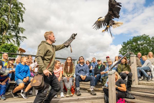Teutoburger Wald Tourismus / D. Ketz Adlerwarte Berlebeck