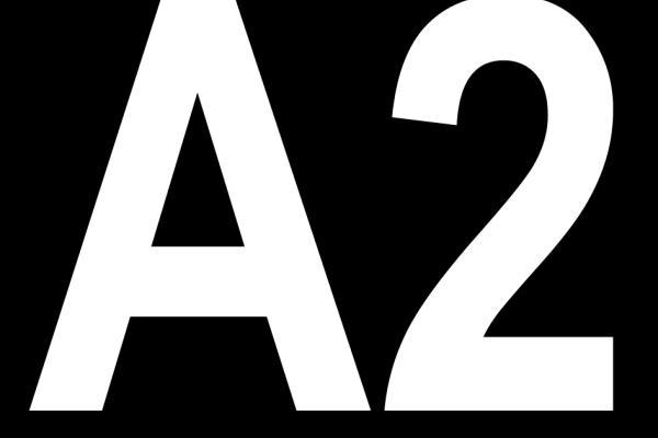 Wiesedeppe A2