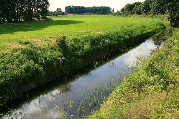 Biosphärenreservat Wulfener Bruch, Osternienburger Land - Wulfen 