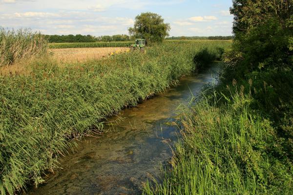 Anett Freudenreich Wulfener Bruch im Osternienburger Land