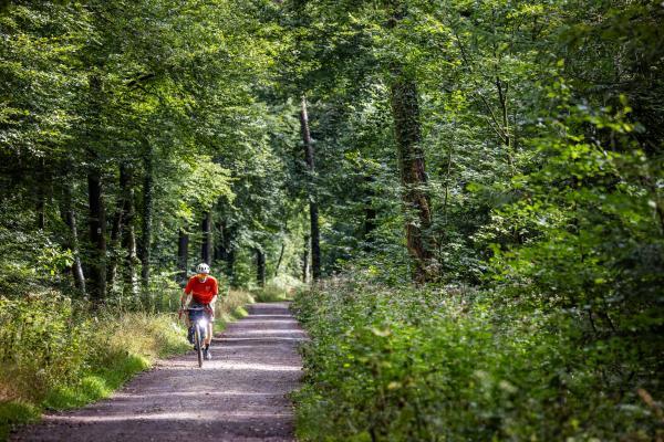 Martin Donat Auf der flachen ersten Hälfte der Tour