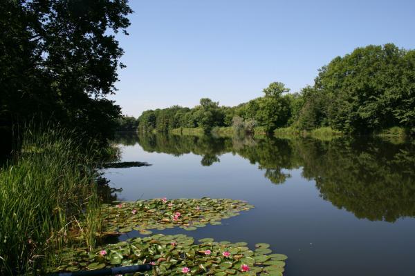 Park Przyrody Doliny Dolnego Saale