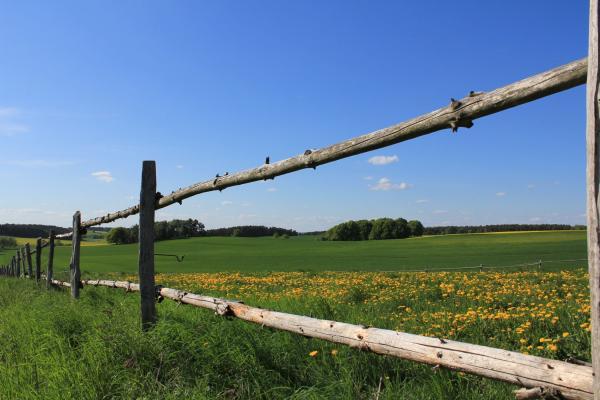 Bansen-Wittig Naturpark Hoher Fläming