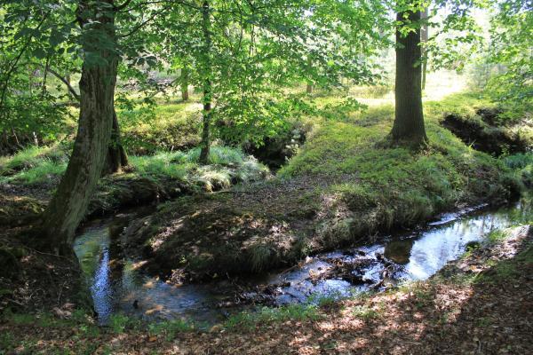Bansen-Wittig Briesener Bach
