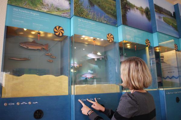 Stadt Schloß Holte-Stukenbrock, Stadtmarketing SHS Interaktive Aquarienwand in der Ems Erlebniswelt