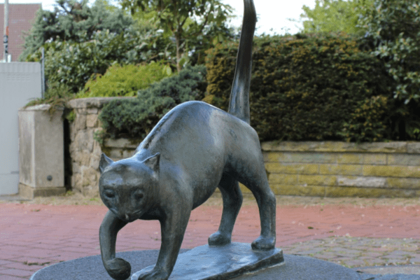 Katzenbrunnen