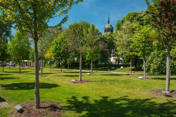 gInvestitions- und Marketinggesellschaft Sachsen Anhalt mbH, Danny Kurz Luthergarten, Lutherstadt Wittenberg © Investitions - und Marketinggesellschaft Sachsen Anhalt mbH, Danny Kurz